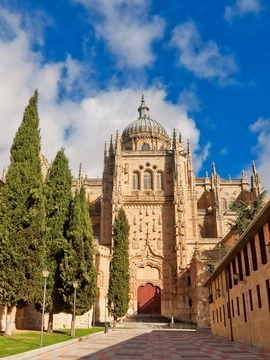 León