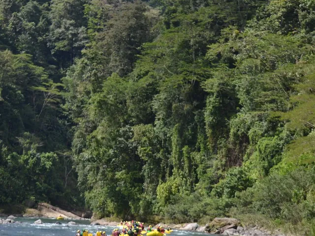 Rios Tropicales celebrates 31!