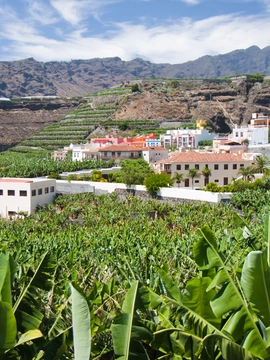 La Palma Island