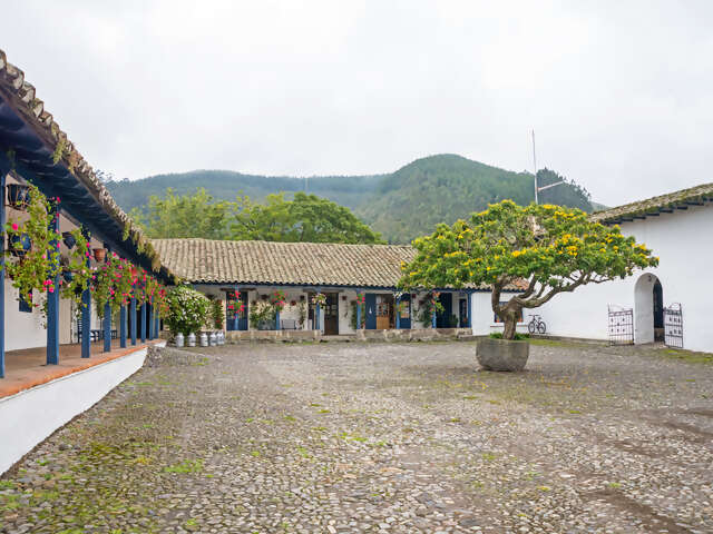 Ibarra