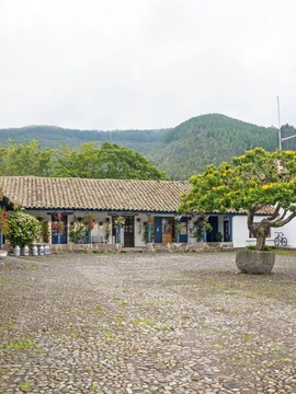 Ibarra