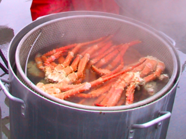 Not Your Usual Food Festival