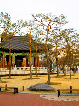Daegu