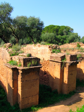 Tipaza