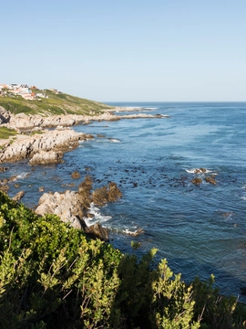 Gansbaai