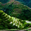 Ilocos Region