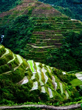Ilocos Region