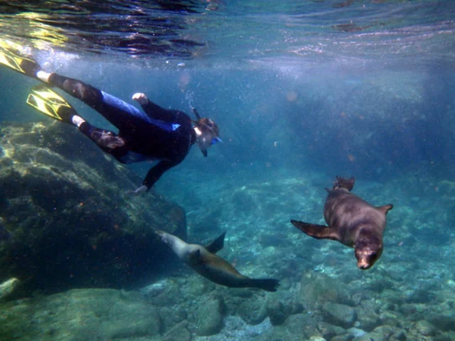 Define Your Un-ness with Uncruise Adventures