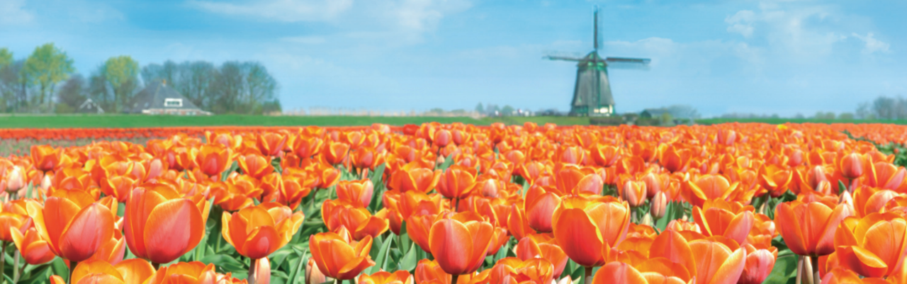 Our Best Offer Ever - 2017 Boutique River Cruises in Europe & Russia