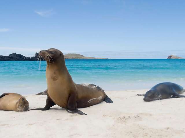 Galapagos Province