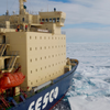 POLAR BEARS, GLACIERS & AN ASTRONAUT ARCTIC EXPEDITION
