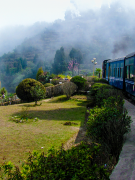 Darjeeling