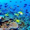 Great Barrier Reef