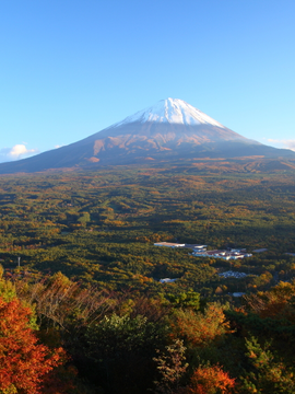 Naha