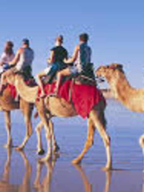 Travel For Free