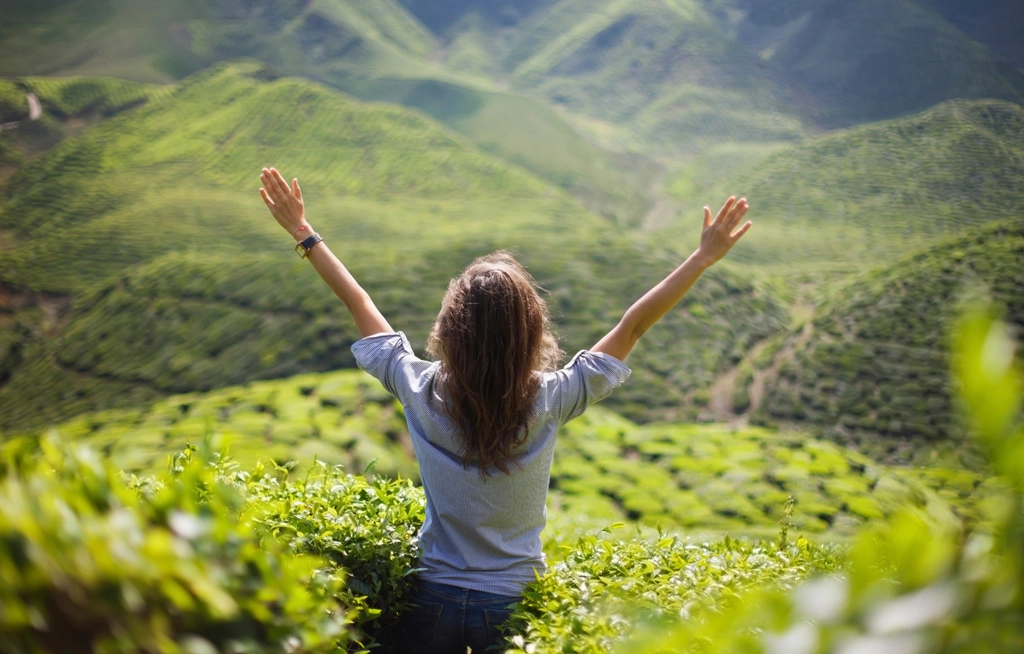 Wellness Travel