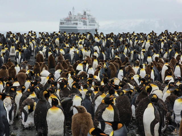 The Ultimate Antarctic Experience