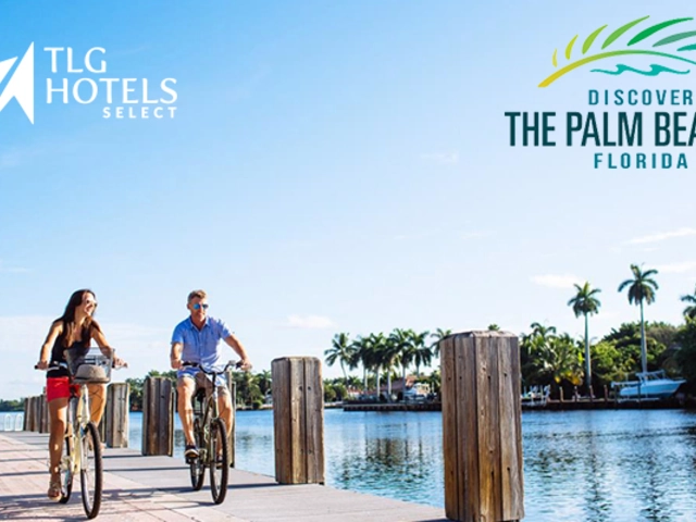 Expect the unexpected - With Palm Beaches