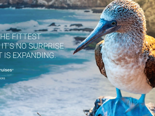 Let's evolve your idea of a Galapagos vacation with Celebrity Cruises!