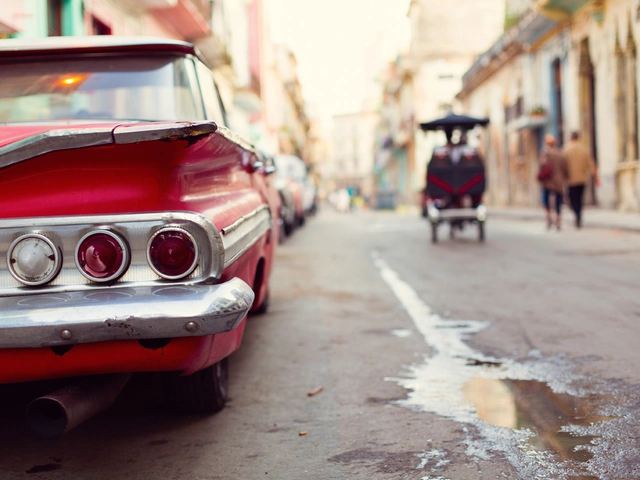 Elsie's Cuba Trip