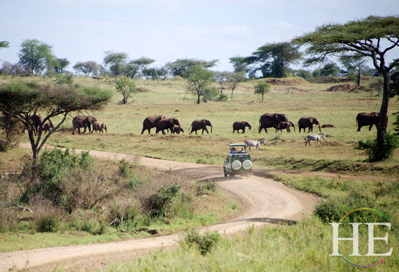 Gay Safari: Tanzania and Zanzibar Extension