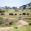 Gay Safari: Tanzania and Zanzibar Extension