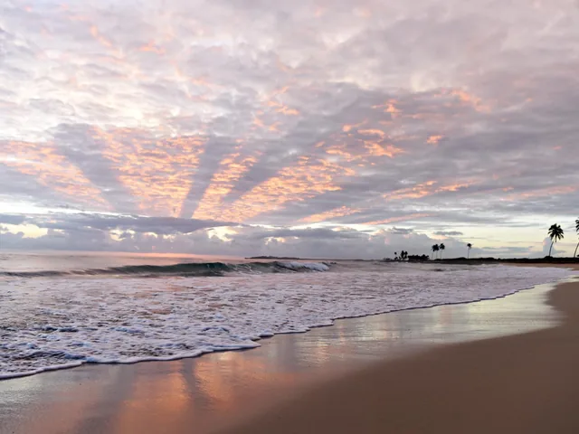 Save on Vacations to Hawaii, the Caribbean and Mexico with Pleasant Holidays!