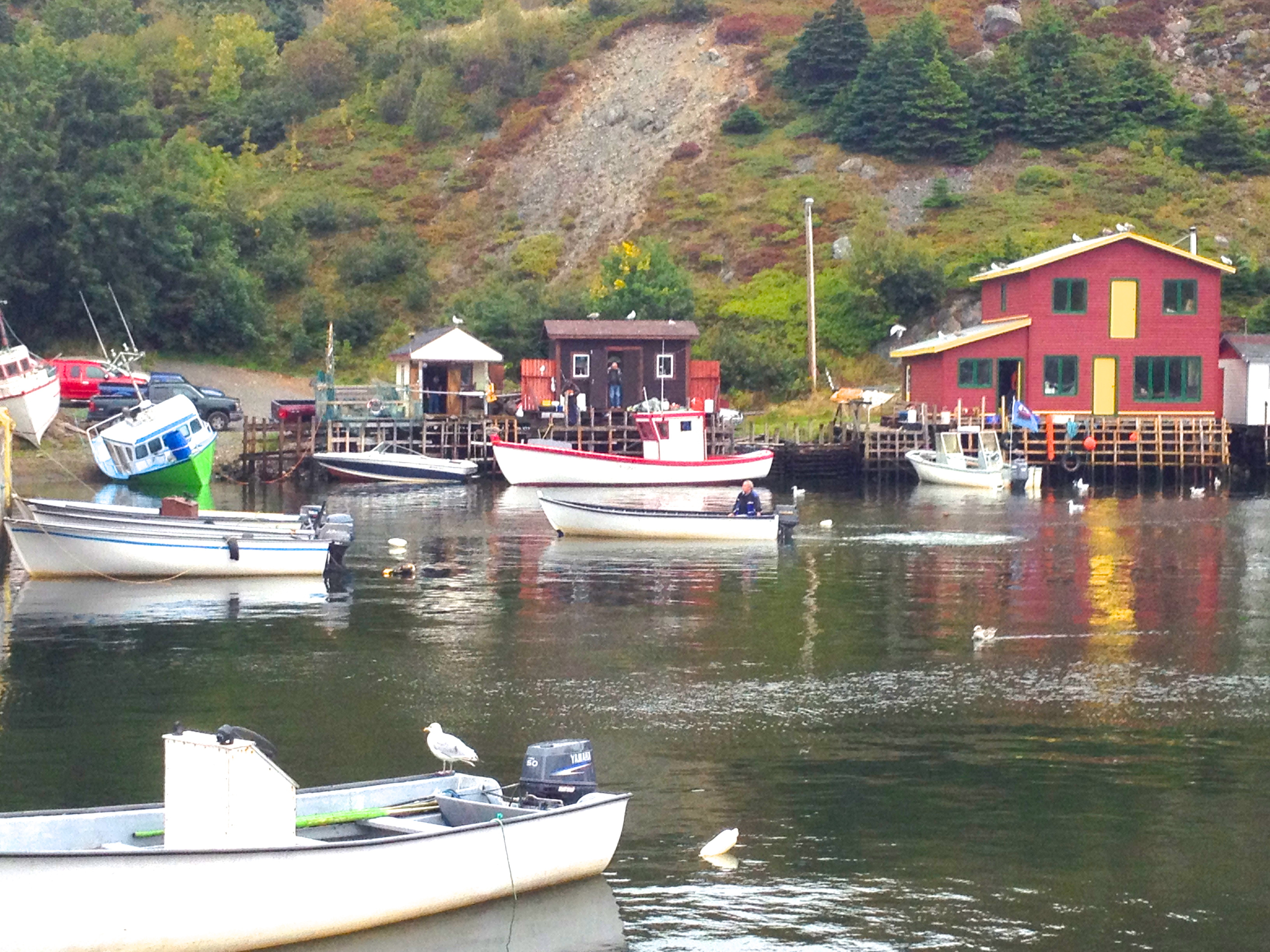 Top 5 Souvenirs from Newfoundland, Canada