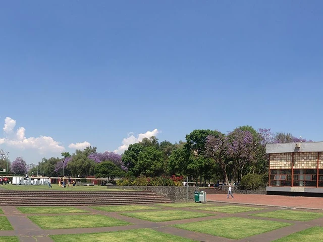 Mexico City: An Urban Adventure with a Touch of Nature