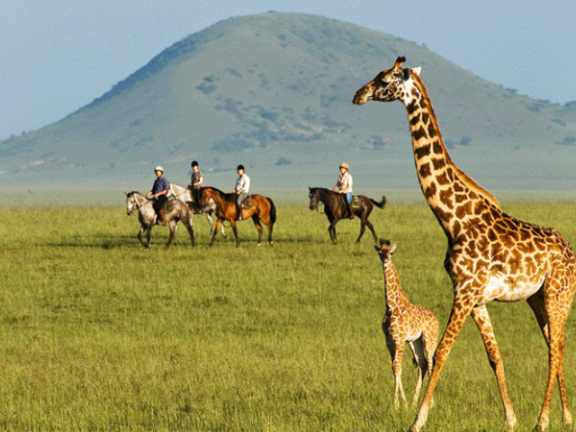 Saddle up for an Equestrian Adventure with National Geographic