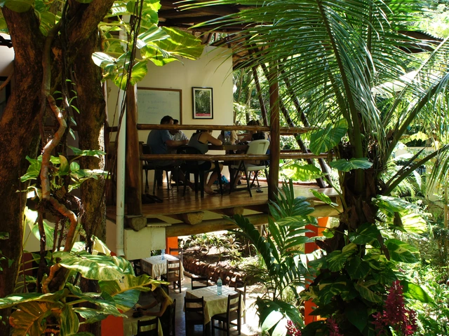 Looking to study Spanish? The Wayra Spanish Institute could be the perfect place for you!