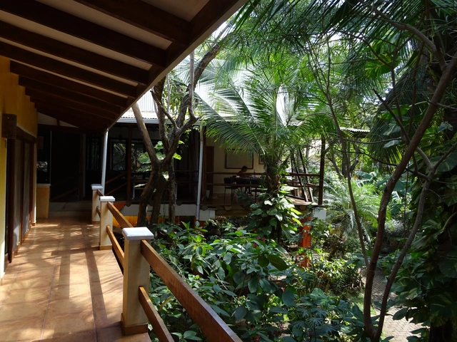 Looking to study Spanish? The Wayra Spanish Institute could be the perfect place for you! Part 2