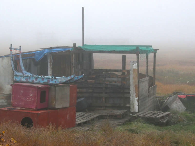 IMG_4322-SISIMUTDOGSLEDSPS.jpg