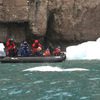 Canada's Northwest Passage: An Epic Arctic Journey with Adventure Canada