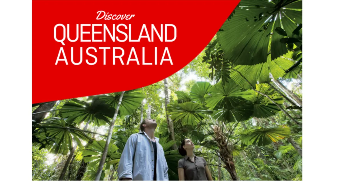 Australia's Most Stunning Rainforests | Just Travel Deals