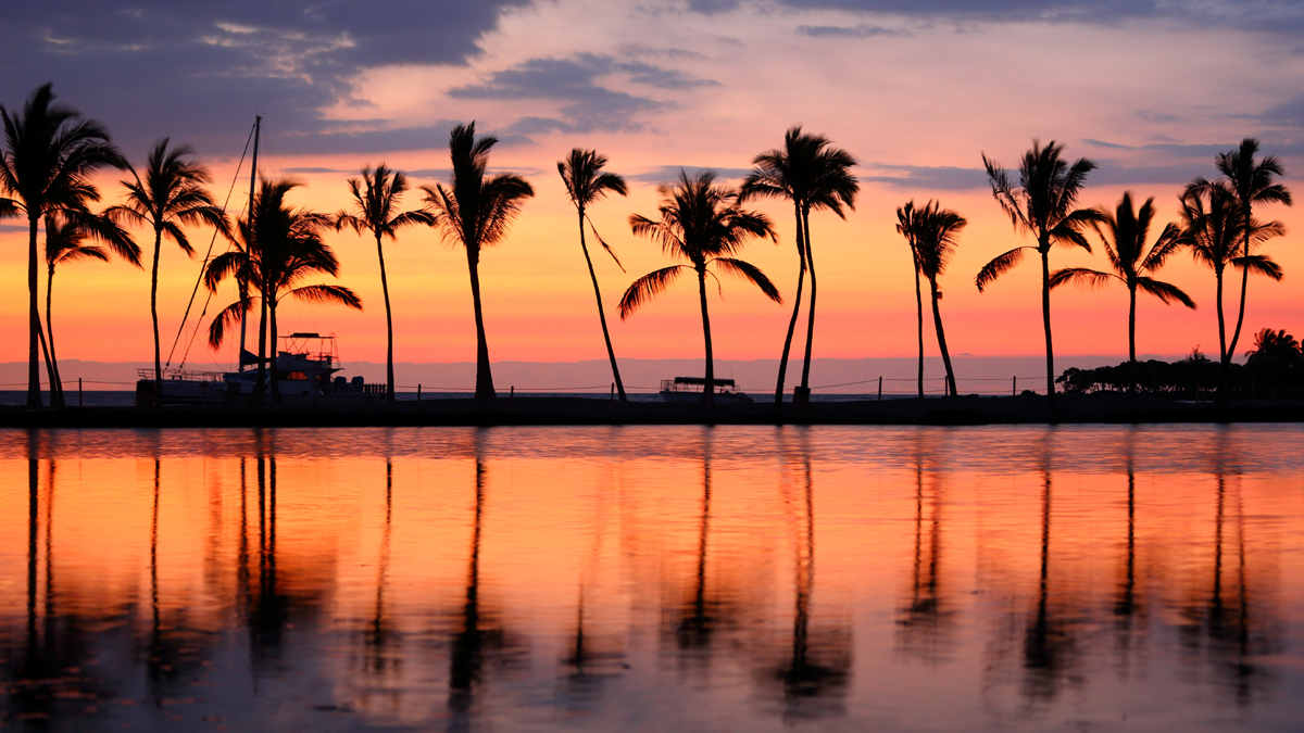 Hawaii + South Pacific