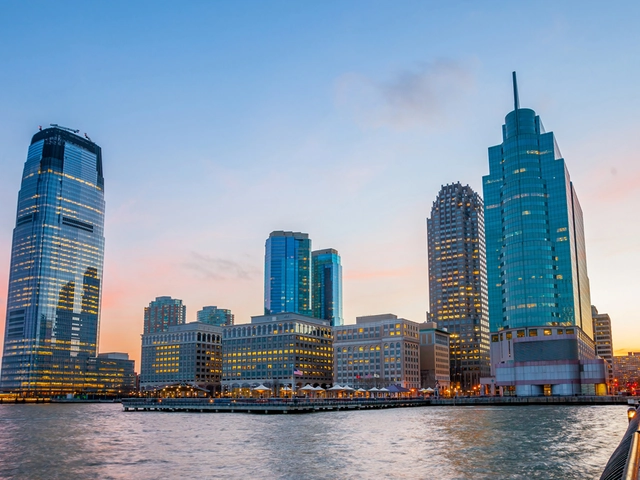 Negotiation Services