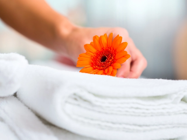 Travel Accommodations