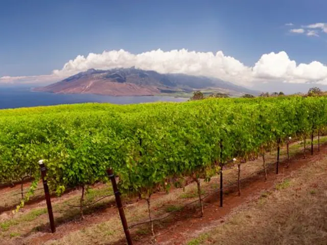 10 of the World's Most Unusual Wineries