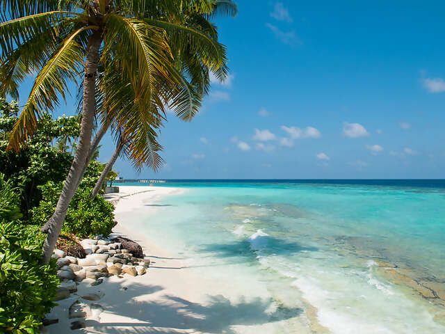The Best Island Honeymoon Destinations On Earth