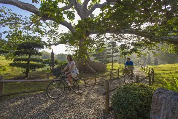 Romance Thrives in the Dominican Republic