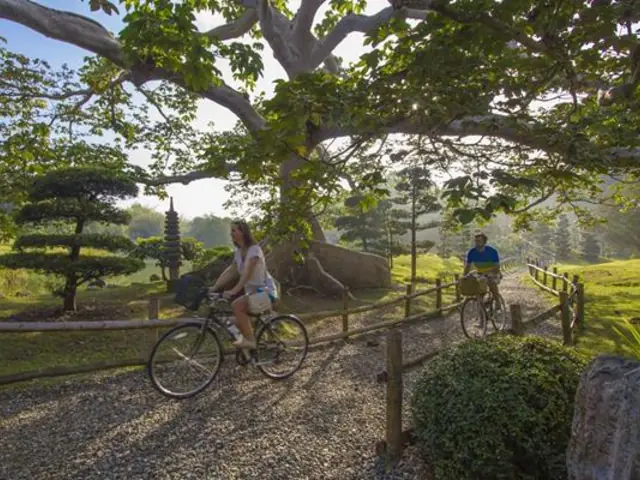 Romance Thrives in the Dominican Republic