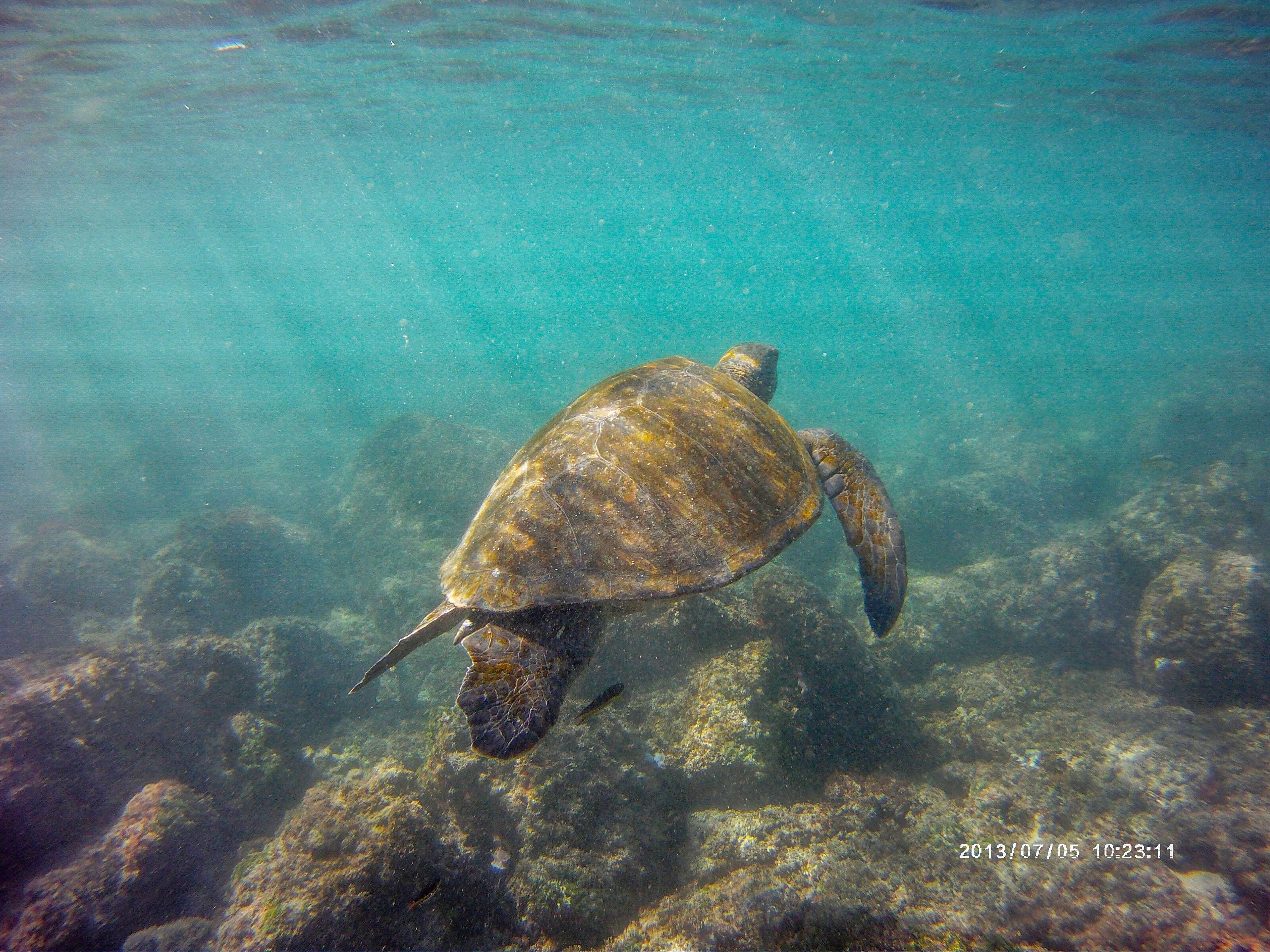 Galapagos Islands Tour Info Night
