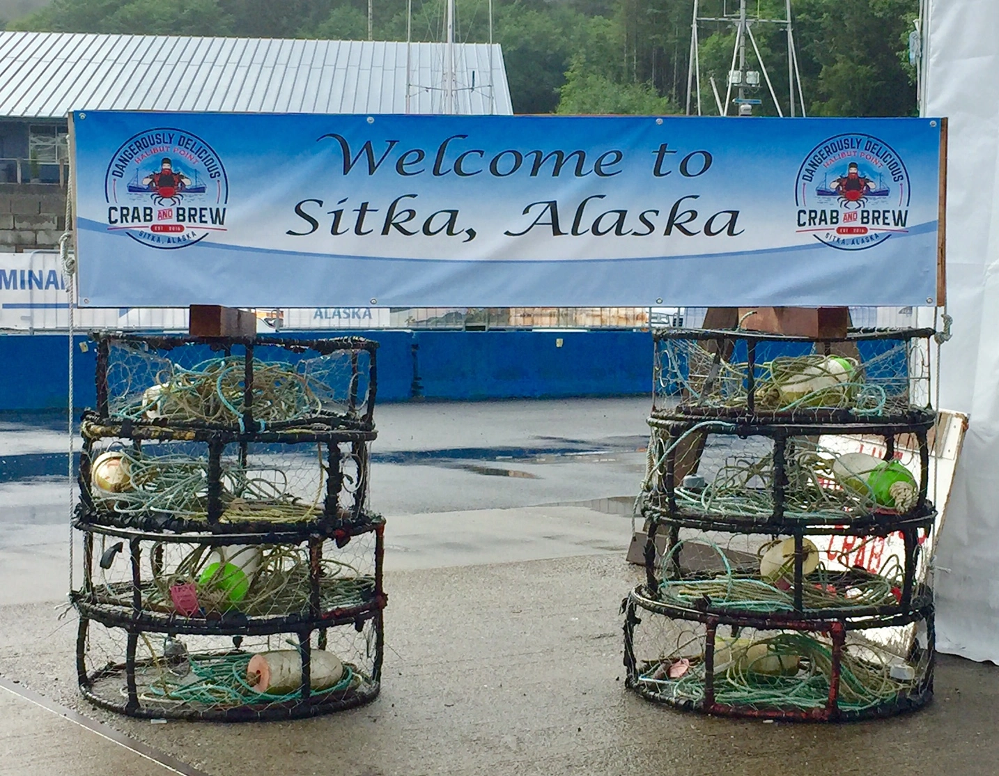 Top Souvenirs from Alaska