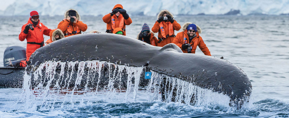 National Geographic Cruises