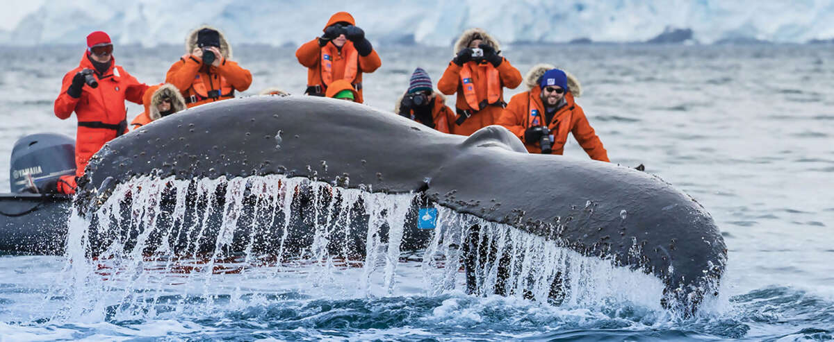 National Geographic Cruises