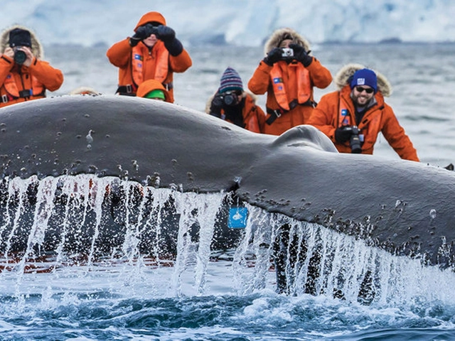 National Geographic Cruises