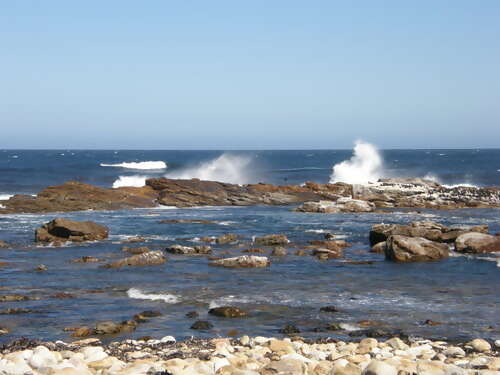 South African Adventure