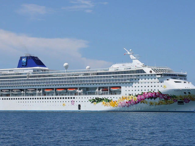 Rescue and Relief From Hurricane Irma