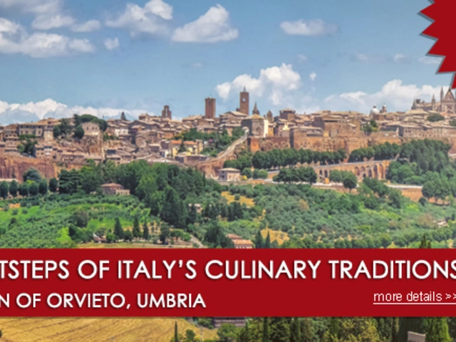 NEW! Introducing the 